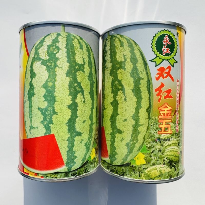 正品双红金五西瓜种子双红瓤大果型石头瓜种子耐旱耐重茬含糖