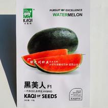 黑美人西瓜种子超甜礼品型西瓜种籽高糖14度水果种子早熟