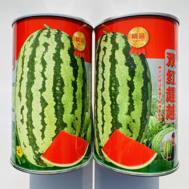 永江双红超越西瓜种子特大号西瓜大红瓤糖度高耐重茬椭圆形西