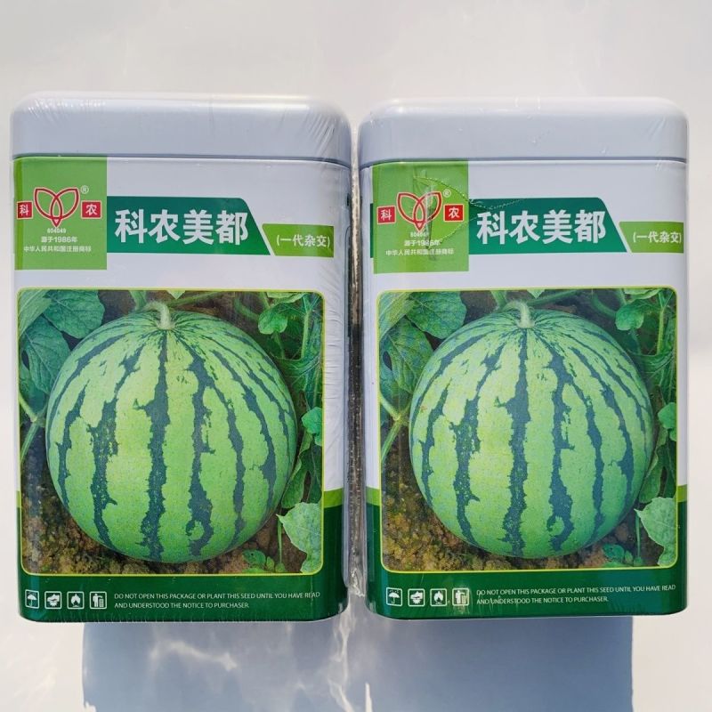 科农美都西瓜种子一代杂交大红瓤西瓜种籽花皮圆形西瓜品种耐