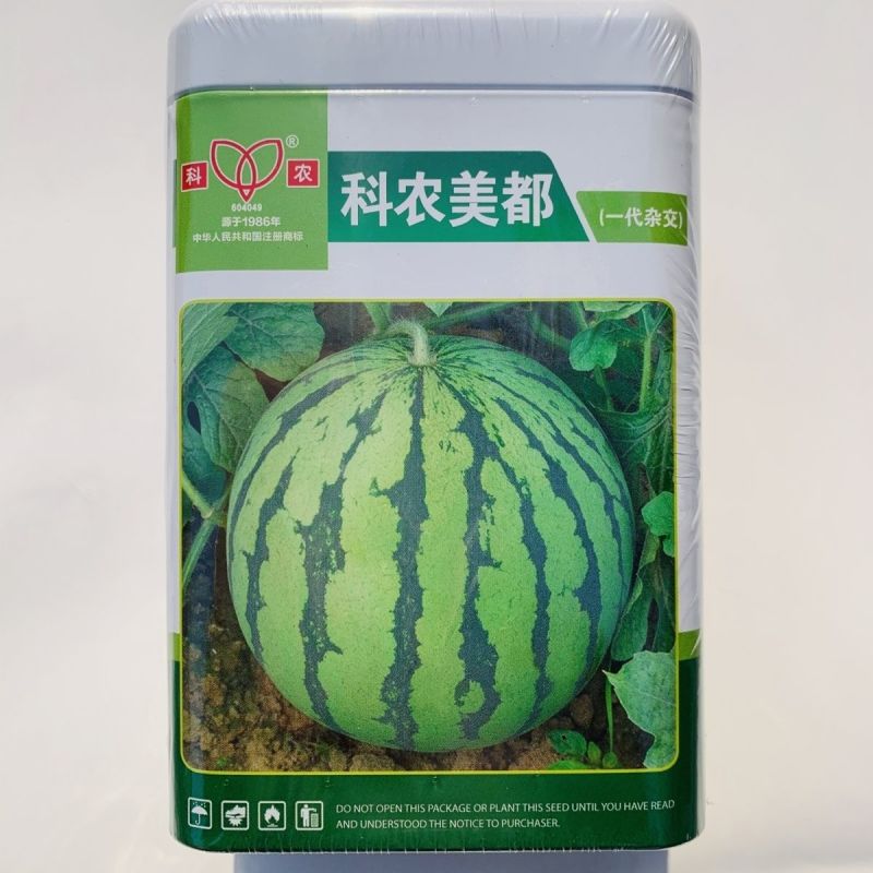 科农美都西瓜种子一代杂交大红瓤西瓜种籽花皮圆形西瓜品种耐