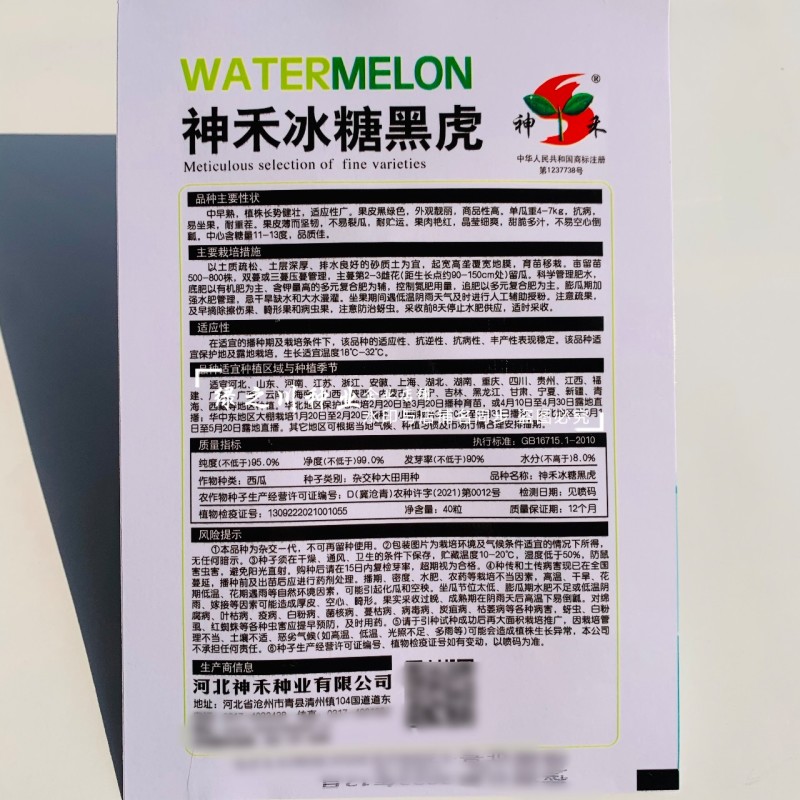 黑皮红瓤西瓜种子冰糖黑虎黑皮西瓜种籽红肉甜脆多汁耐重茬