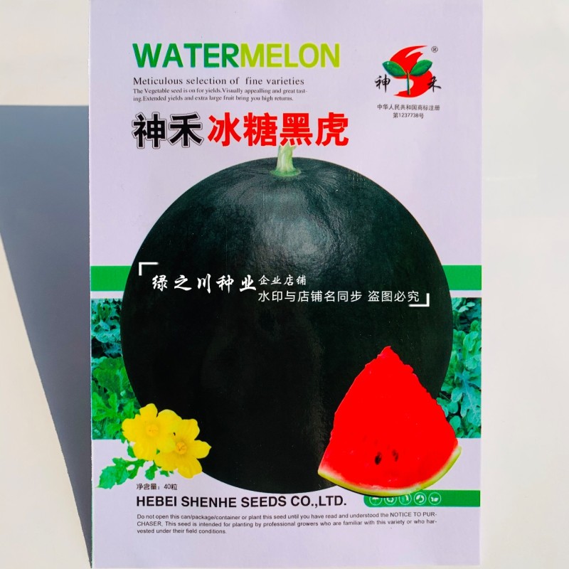 黑皮红瓤西瓜种子冰糖黑虎黑皮西瓜种籽红肉甜脆多汁耐重茬