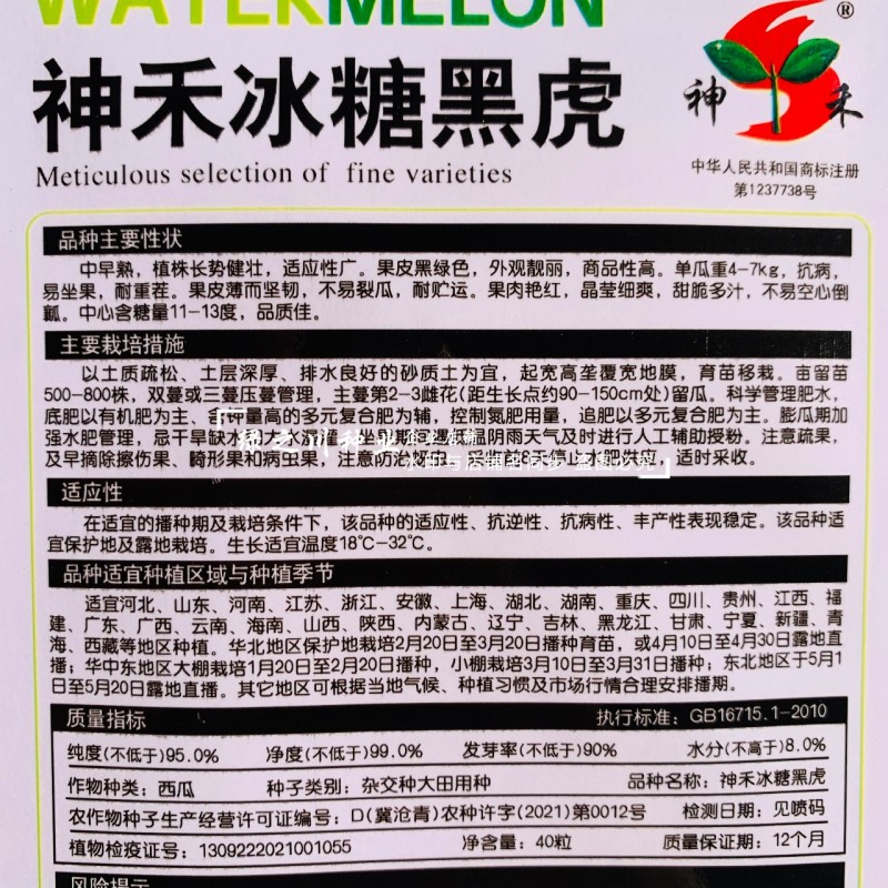 黑皮红瓤西瓜种子冰糖黑虎黑皮西瓜种籽红肉甜脆多汁耐重茬