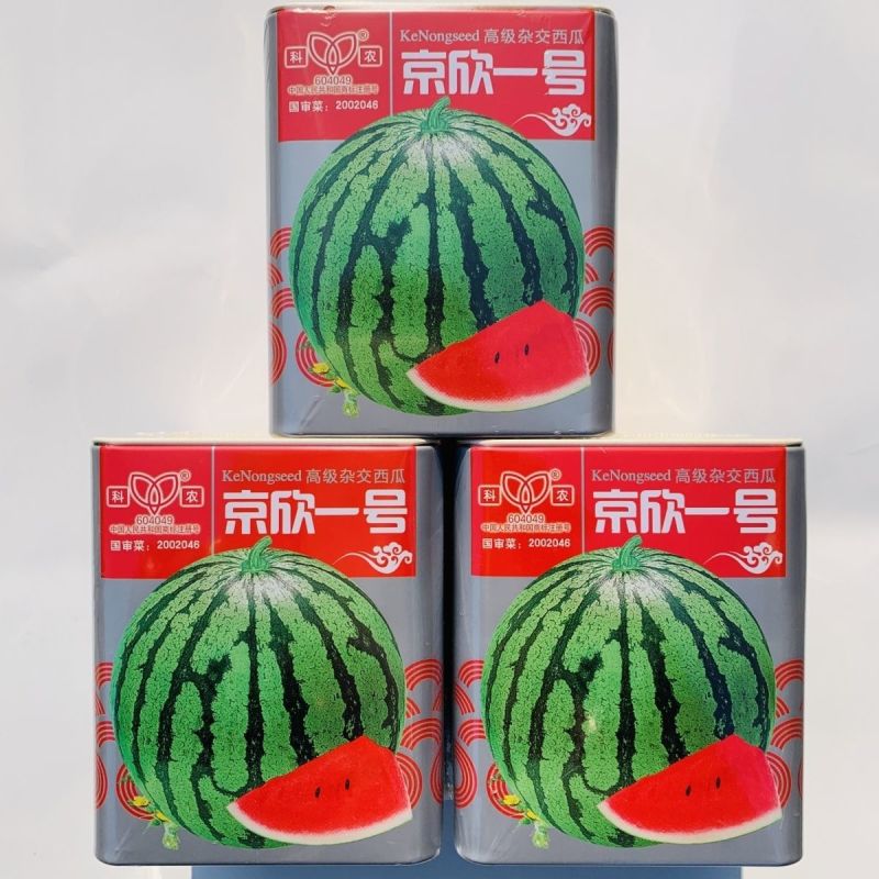 京欣一号西瓜种子味甜可口不裂果极早熟花皮圆果西瓜种籽大红
