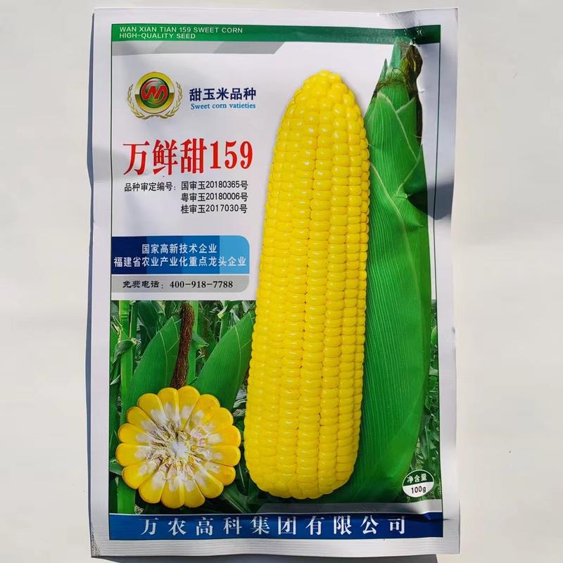 万鲜甜159甜玉米种子黄色水果玉米种子南方鲜食甜玉米种籽