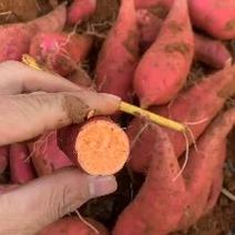 西瓜红蜜薯广东产地直供电商市场
