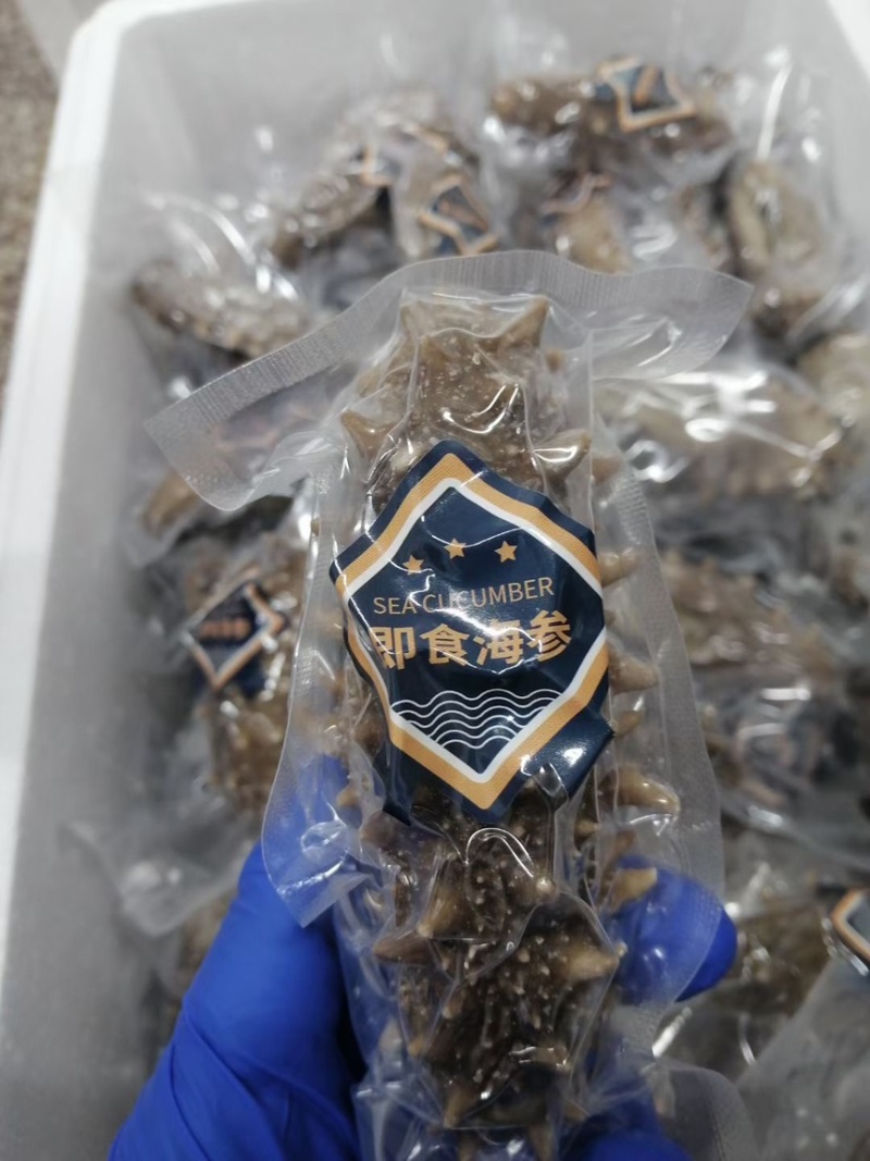鲜食海参批发一件代发团购工厂直发刺参辽参大连海参