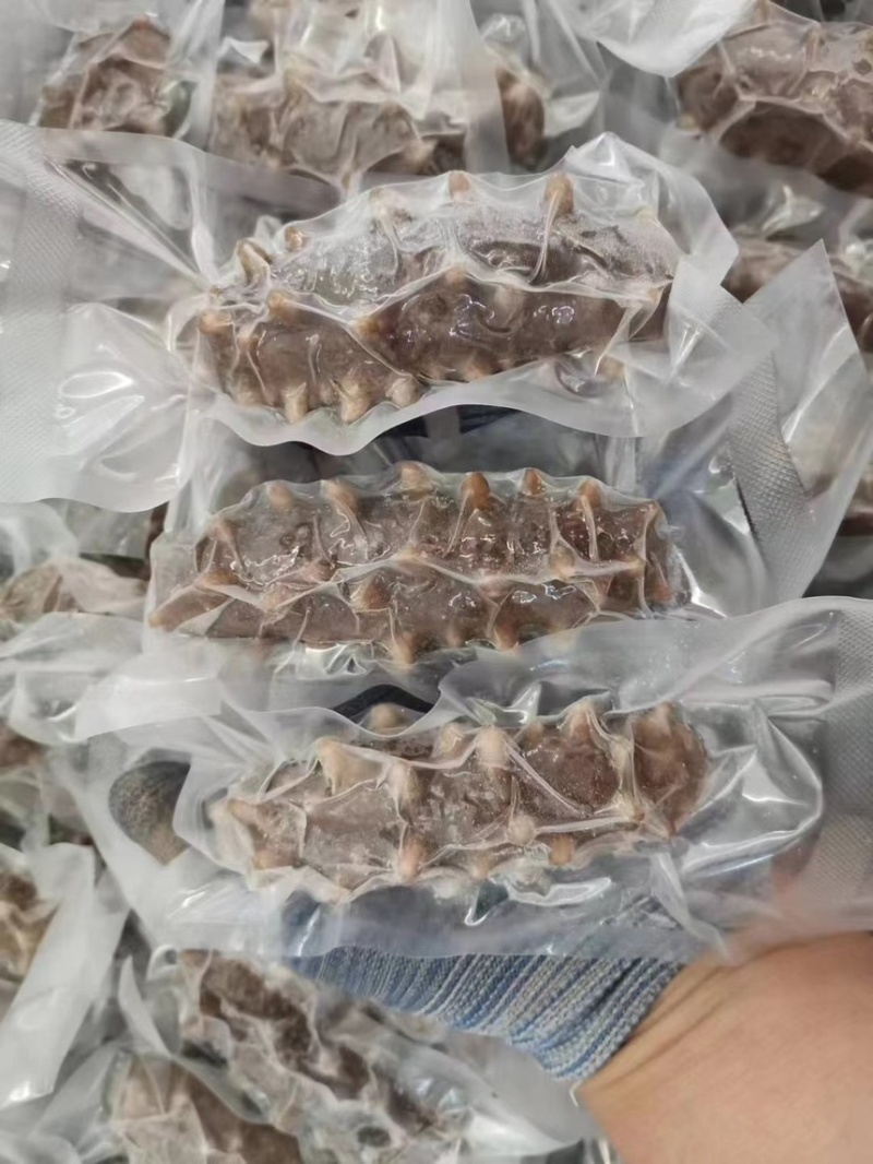 鲜食海参批发一件代发团购工厂直发刺参辽参大连海参