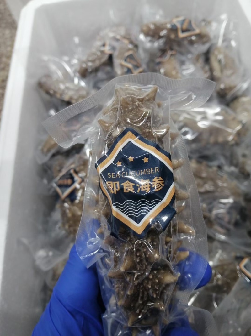 鲜食海参批发一件代发团购工厂直发刺参辽参大连海参