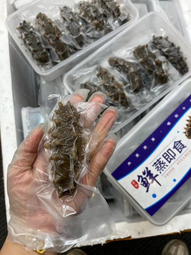 鲜食海参批发一件代发团购工厂直发刺参辽参大连海参