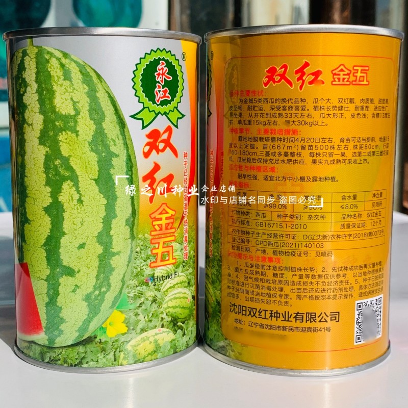 双红金五西瓜种子特甜正宗石头瓜种子耐重茬大号金城5号西瓜