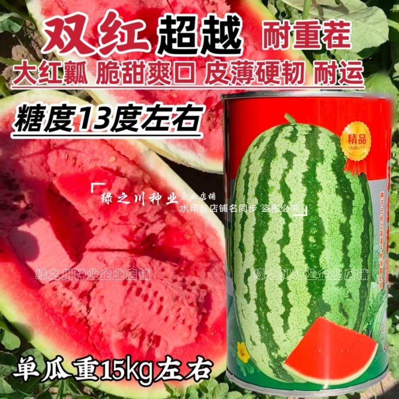 北方双红超越西瓜种子脆甜糖分高大红瓤椭圆形西瓜种籽耐重茬