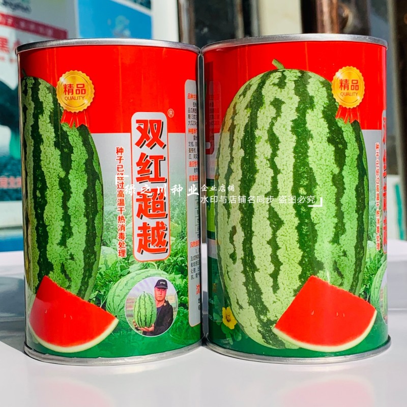 北方双红超越西瓜种子脆甜糖分高大红瓤椭圆形西瓜种籽耐重茬