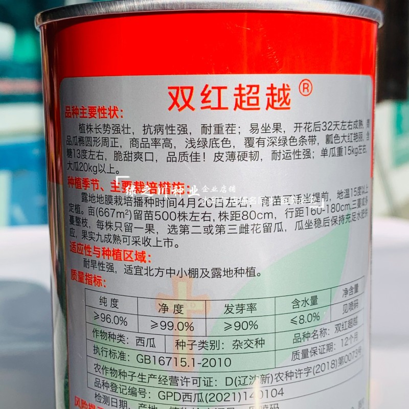 北方双红超越西瓜种子脆甜糖分高大红瓤椭圆形西瓜种籽耐重茬