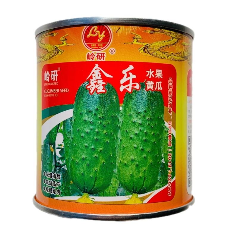 鑫乐水果黄瓜种子强雌性小黄瓜种籽味道清甜瓜味浓绿瓤绿肉春