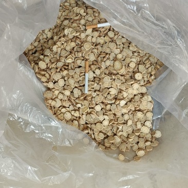 自家种植加工地产黄芪饮片。规格品种齐全