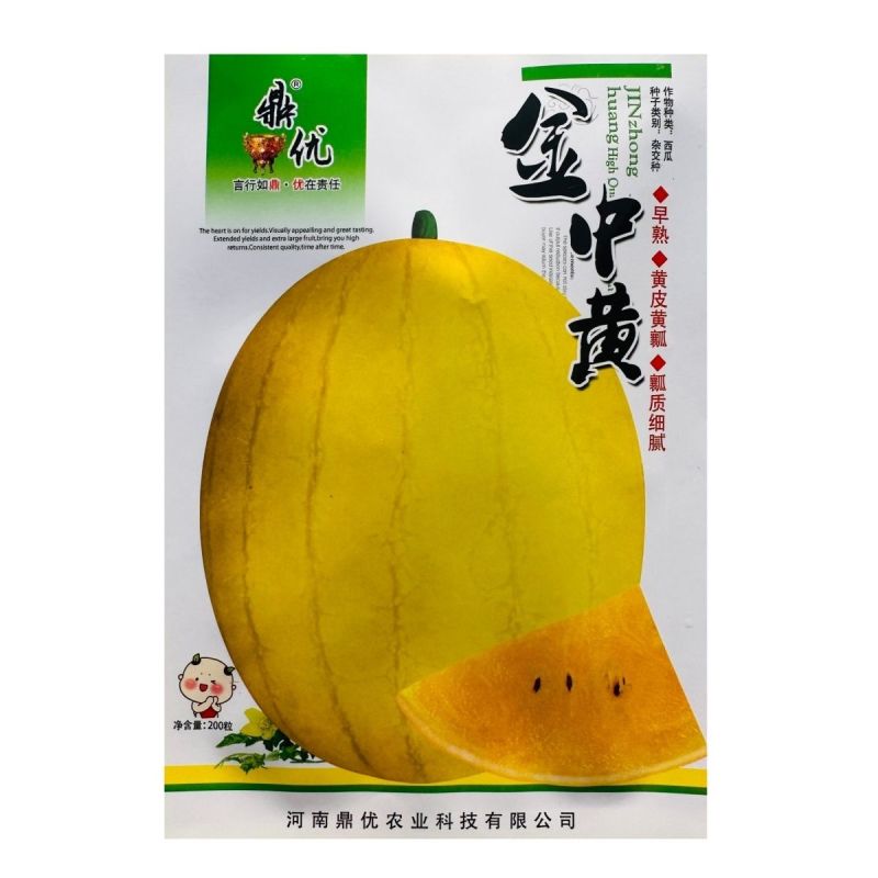 鼎优金中黄礼品西瓜种子早熟高糖黄皮黄瓤西瓜种籽短椭圆果肉
