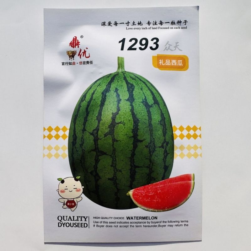 鼎优1293礼品西瓜种子早熟小果型西瓜籽椭圆形果肉红色礼
