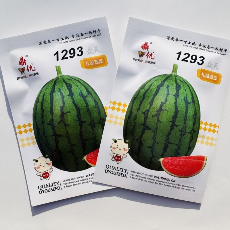 鼎优1293礼品西瓜种子早熟小果型西瓜籽椭圆形果肉红色礼