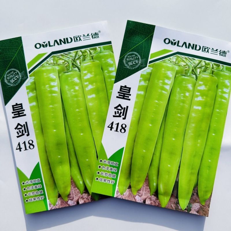 欧兰德皇剑418辣椒种子黄绿皮椒种子辣味适中羊角椒种籽椒