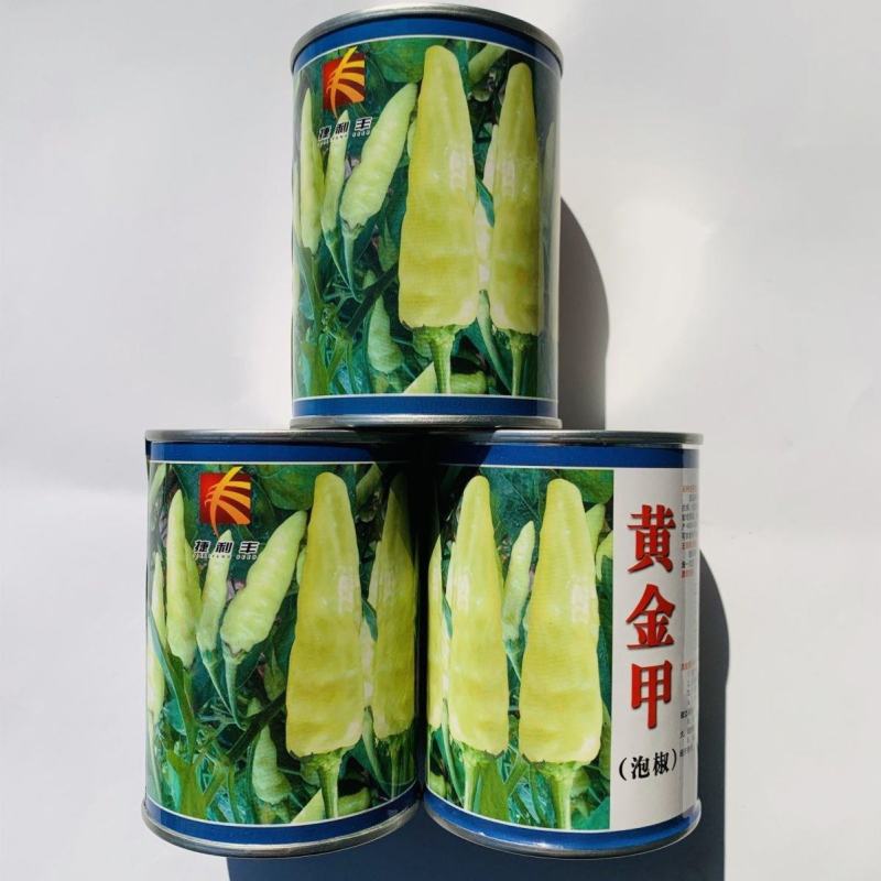 黄金甲辣椒种子早熟泡椒种子特辣小米辣种子绿白色小米椒种籽