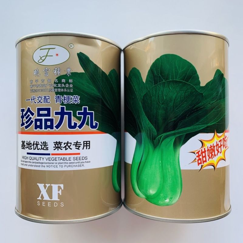 晓富蔬菜种籽珍品九九青梗菜种子甜嫩好吃小油菜种籽基地专用