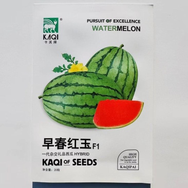 早熟杂交一代礼品西瓜种子皮薄果肉红色纤维少质量口感好