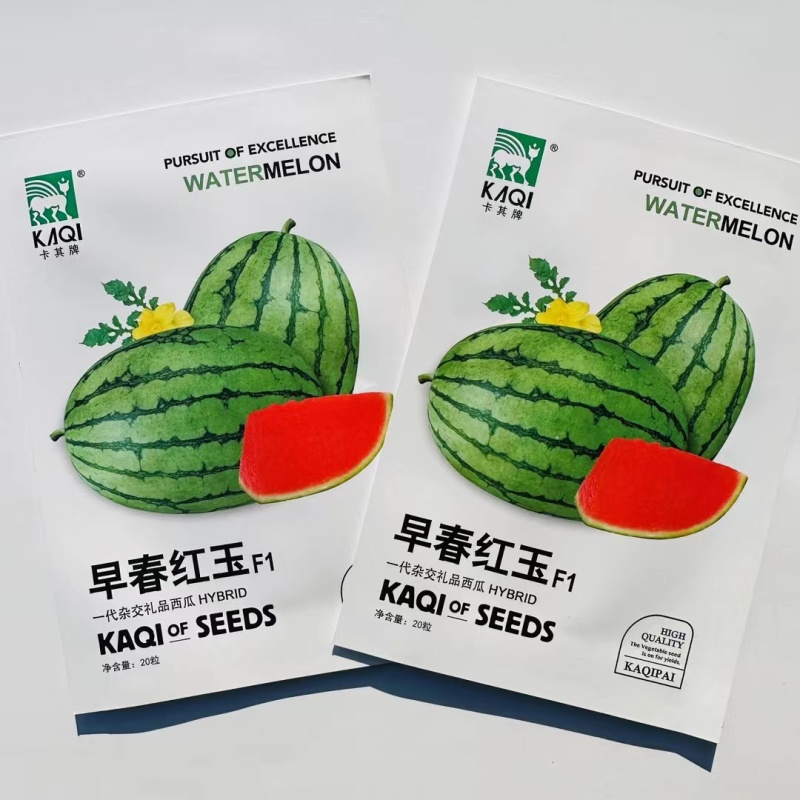 早熟杂交一代礼品西瓜种子皮薄果肉红色纤维少质量口感好