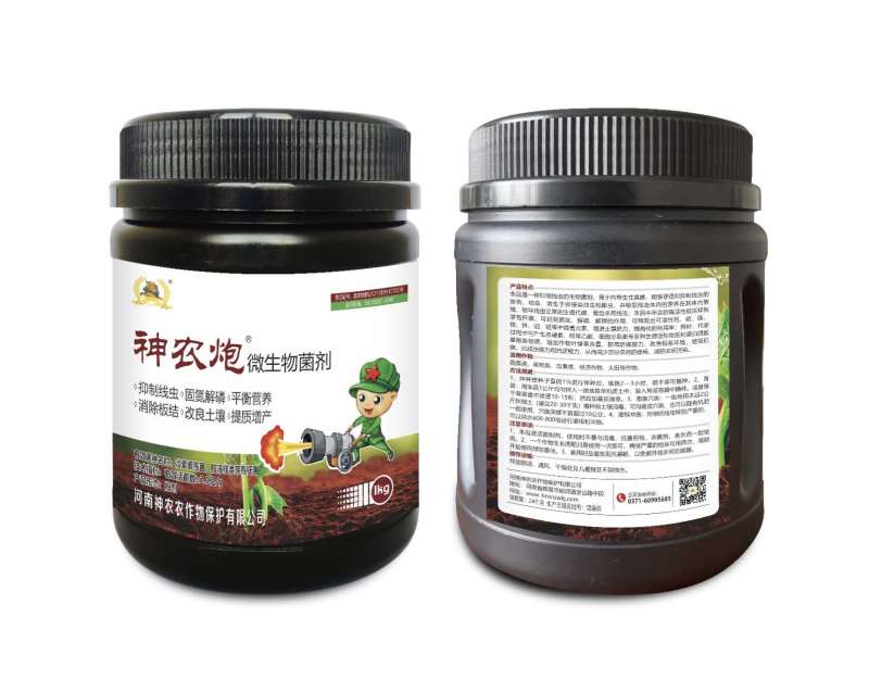 根结线虫专用淡紫紫孢菌胶冻样虫卵双杀根瘤病以菌杀线