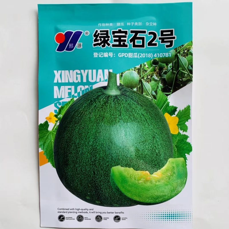 杂交早熟甜瓜种子薄皮绿宝石甜瓜种皮深绿色绿肉产量高抗性好