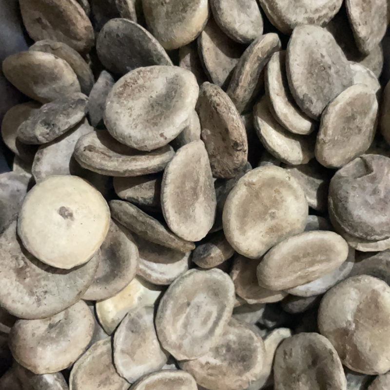 马前子药材保真保量货源充足可按需抓药包邮