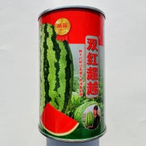 杂交无籽西瓜种子抗病性强耐重茬皮薄硬韧瓤大红色口感好