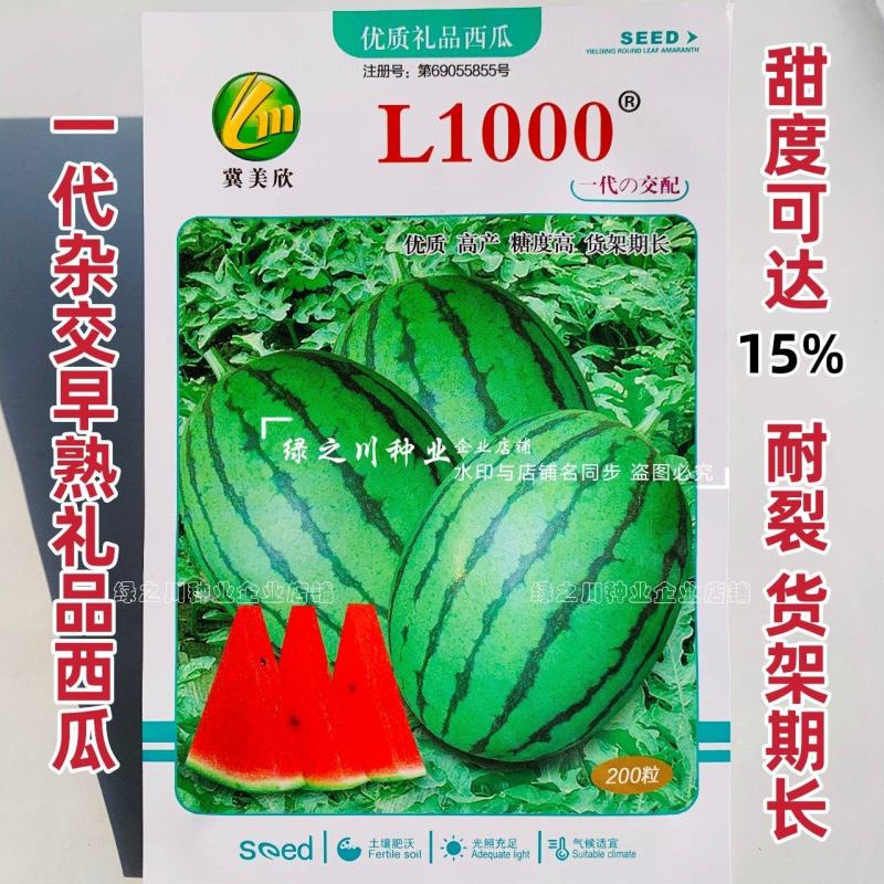 L1000礼品西瓜种子特甜耐裂糖度高达15度小型西瓜种子