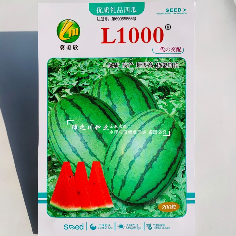 L1000礼品西瓜种子特甜耐裂糖度高达15度小型西瓜种子