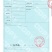 背肩，瘦度高，实拍图片，一手货源，全国冷链发货