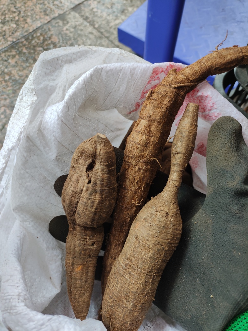 下山黑牛野生黑牛