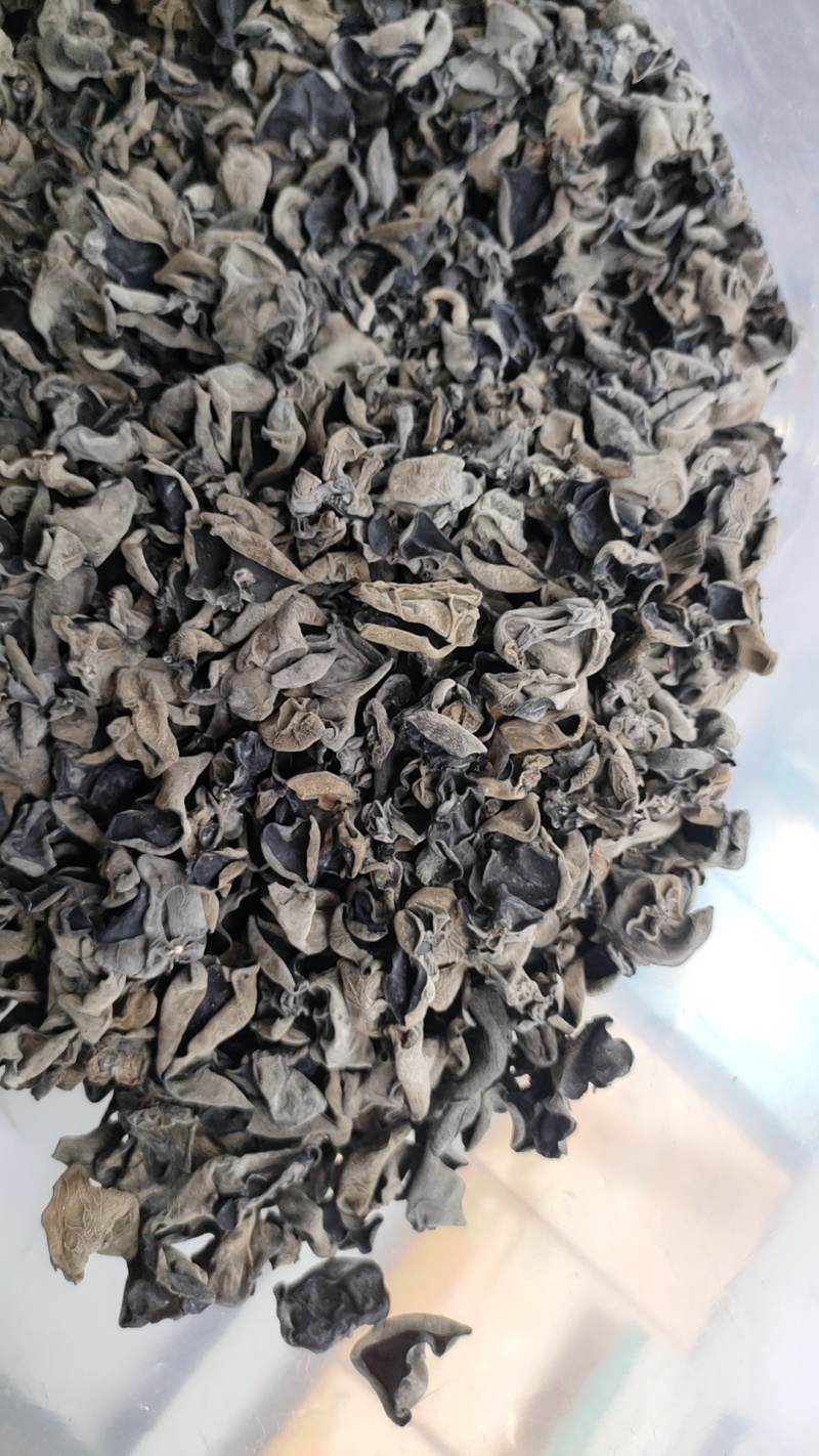优质黑木耳，秋耳，冬耳。菜耳，毛耳产地批发。