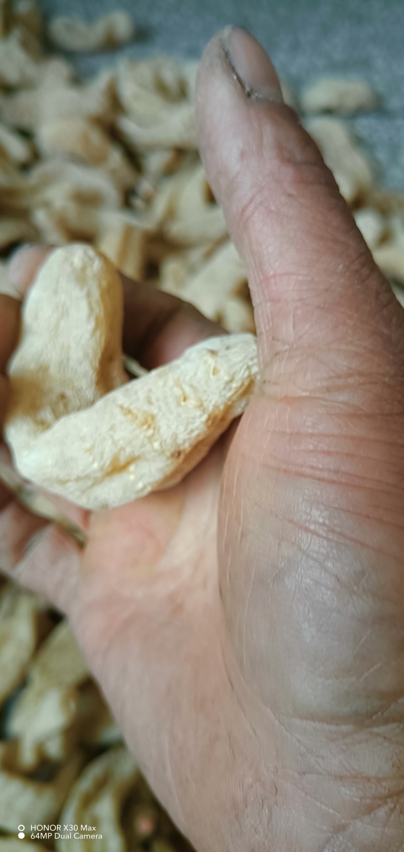 陕西天麻天麻素含量高规格齐全欢迎老板联系