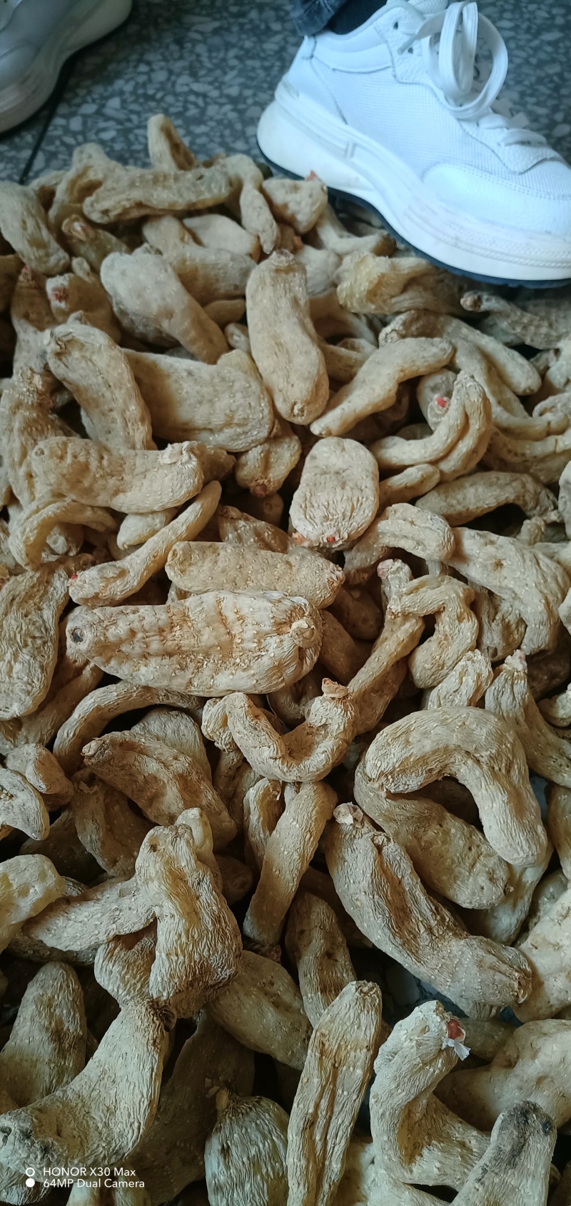 陕西天麻天麻素含量高规格齐全欢迎老板联系