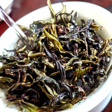 高山茶潮汕土山茶福建乌龙茶散装茶兰花香茶叶大坪高山茶1斤