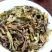 高山茶潮汕土山茶福建乌龙茶散装茶兰花香茶叶大坪高山茶1斤