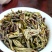 高山茶潮汕土山茶福建乌龙茶散装茶兰花香茶叶大坪高山茶1斤