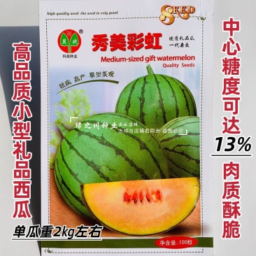 优质礼品西瓜种子彩虹瓤小型西瓜种籽糖度高皮薄酥脆七彩西瓜