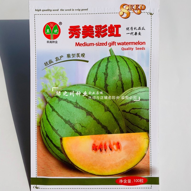 优质礼品西瓜种子彩虹瓤小型西瓜种籽糖度高皮薄酥脆七彩西瓜
