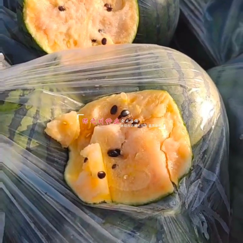 优质礼品西瓜种子彩虹瓤小型西瓜种籽糖度高皮薄酥脆七彩西瓜