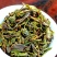 高山茶潮汕浓香型高山茶叶惠来土山茶冬茶乌龙茶叶清香型花香