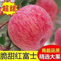 万荣红富士苹果香甜可口大量上市中欢迎咨询
