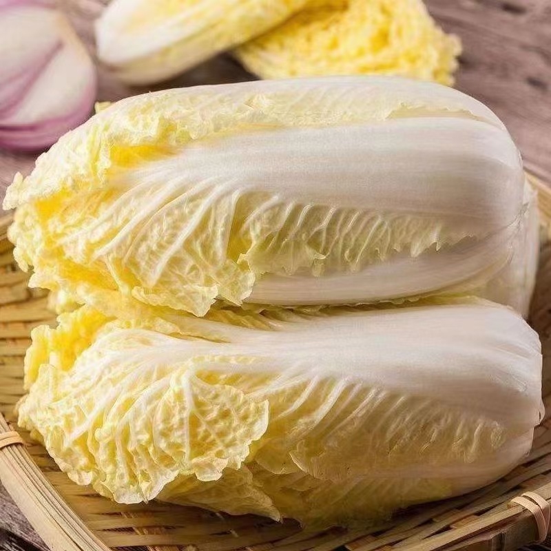【精品】娃娃菜云南娃娃菜，质量保证货量充足