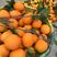 奉节脐橙农户自产自销现货供应量大从优欢迎来电洽谈